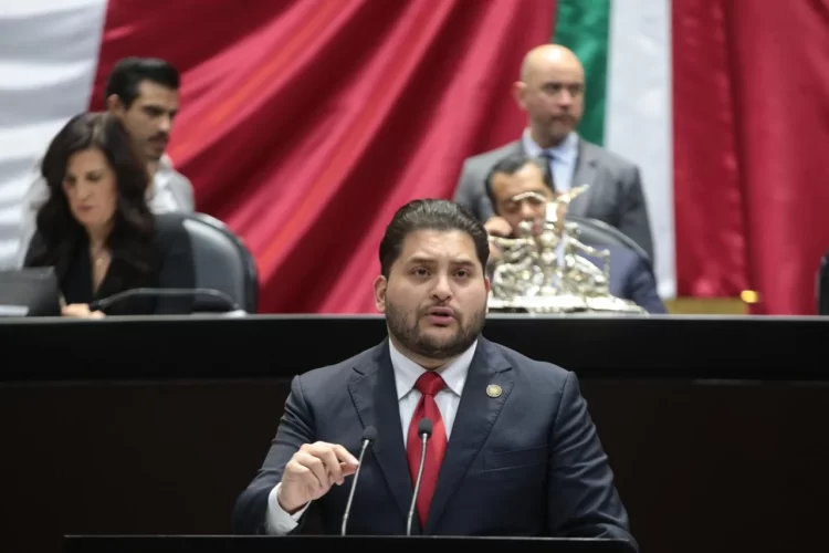 Plantean que gastos en alimentación y salud de perros y gatos sean deducibles de impuestos