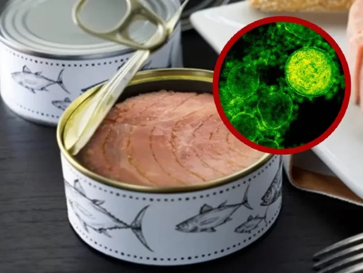 Retiran de supermercados Costco y Walmart de EU latas de atún contaminadas con peligrosa bacteria