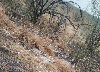 Reportan pelotas de granizo en tres municipios de Tamaulipas 