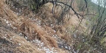 Reportan pelotas de granizo en tres municipios de Tamaulipas 