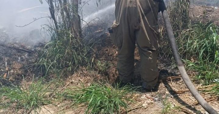 Se incendia pastizal