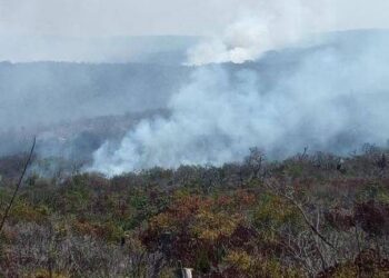 Sigue el fuego en “El Cielo” de Tamaulipas; Protección Civil y CONAFOR trabajan en su control