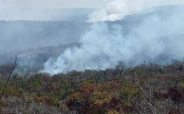 Sigue el fuego en “El Cielo” de Tamaulipas; Protección Civil y CONAFOR trabajan en su control