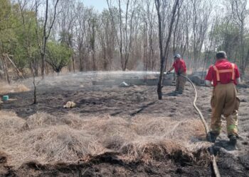 Se incendia pastizal a un costado de la carretera “Rumbo Nuevo”