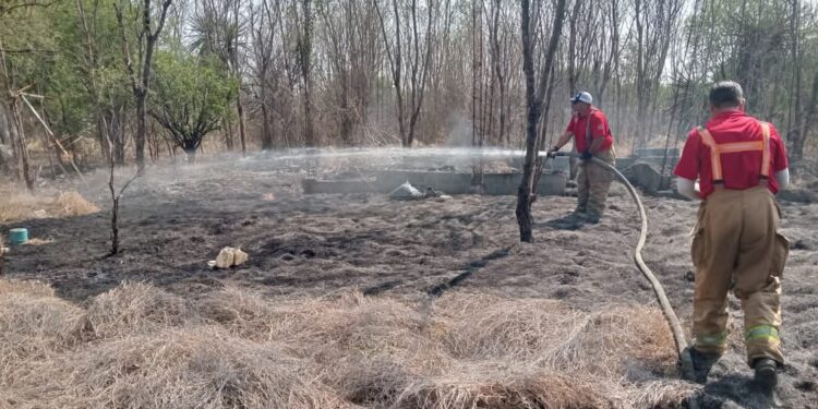 Se incendia pastizal a un costado de la carretera “Rumbo Nuevo”