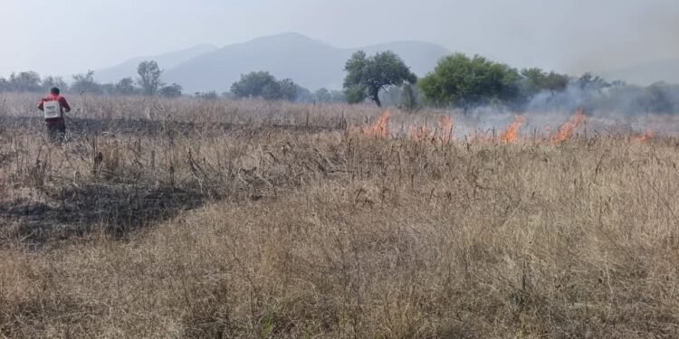Se incendia pastizal a un costado de la carretera “Rumbo Nuevo”