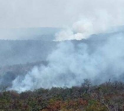 Sigue el fuego en “El Cielo” de Tamaulipas; Protección Civil y CONAFOR trabajan en su control