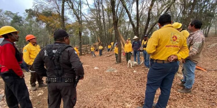 Sigue el fuego en “El Cielo” de Tamaulipas; Protección Civil y CONAFOR trabajan en su control
