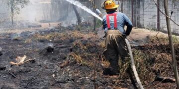 Se incendia pastizal