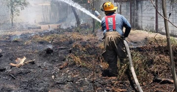 Se incendia pastizal