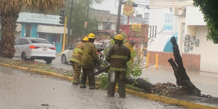 Lluvia de 81 mm satura Ciudad Victoria: Conagua