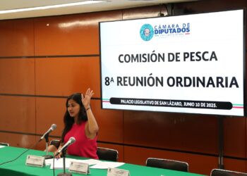 Comisión emite opinión a tres iniciativas orientadas a mejorar al sector pesquero de México