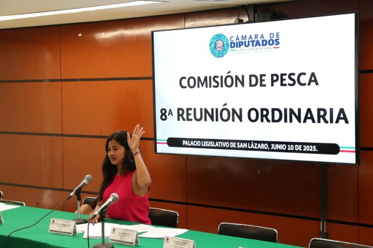 Comisión emite opinión a tres iniciativas orientadas a mejorar al sector pesquero de México