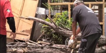Atienden llamada de auxilio por caída de árbol en la Col. Chapultepec