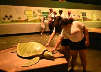 Niñas y niños de Casa Hogar  viajaron de Tampico a Victoria