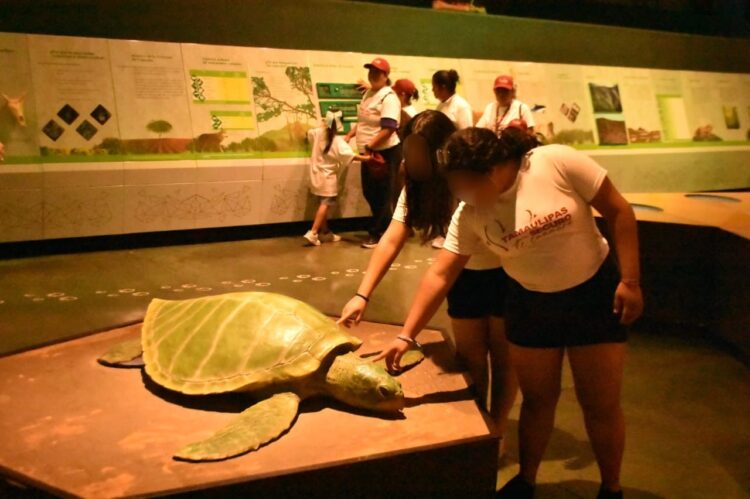 Niñas y niños de Casa Hogar viajaron de Tampico a Victoria