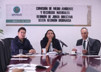 Aprueban en Comisiones del Congreso dictamen que prohíbe circulación de vehículos recreativos todo terreno en áreas naturales protegidas