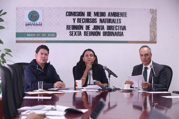 Aprueban en Comisiones del Congreso dictamen que prohíbe circulación de vehículos recreativos todo terreno en áreas naturales protegidas