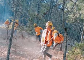 Lluvias ayudan a sofocar incendios forestales en los bosques de Chihuahua