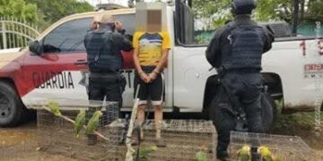 Cae traficante de loros en Ejido “El Esmeril” de Soto la Marina, Tamaulipas