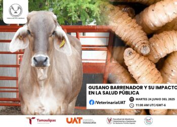 Dará Facultad de Medicina Veterinaria de la UAT conferencias sobre gusano barrenador y su impacto en la salud