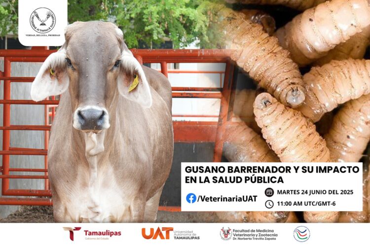 Dará Facultad de Medicina Veterinaria de la UAT conferencias sobre gusano barrenador y su impacto en la salud