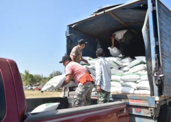 Abren ventanillas para programa de fertilizante a citricultores ejidales del centro de Tamaulipas