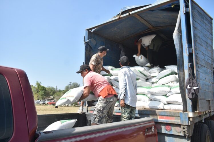 Abren ventanillas para programa de fertilizante a citricultores ejidales del centro de Tamaulipas