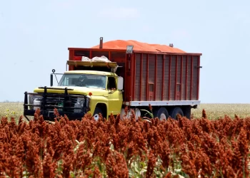 Bloquearán sorgueros de Tamaulipas Puente Internacional en Río Bravo y carretera Victoria-Matamoros este jueves