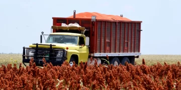 Bloquearán sorgueros de Tamaulipas Puente Internacional en Río Bravo y carretera Victoria-Matamoros este jueves