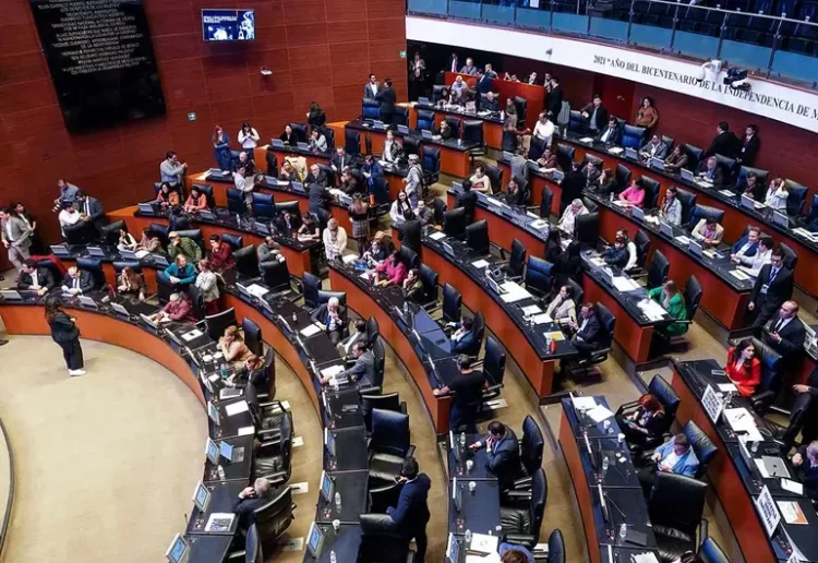 Senado aprueba nueva CURP biométrica; será el documento nacional de identidad