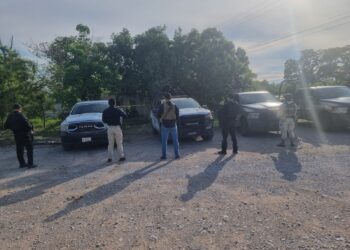 Catean inmueble en González por presunto robo de vehículos; aseguran moto