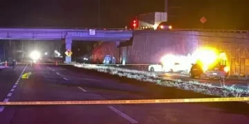 Hallan 20 cadáveres en camioneta en una carretera al norte de Culiacán, Sinaloa