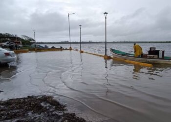 “Barry” no ha dejado afectaciones mayores en sur de Tamaulipas: AVA