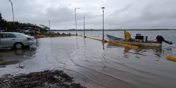“Barry” no ha dejado afectaciones mayores en sur de Tamaulipas: AVA