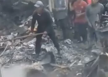 Se desploma avioneta en Chiapas, llevaba moscas para combatir al gusano barrenador