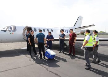 Aumenta donación y trasplantes de órganos en Tamaulipas, dando esperanza de vida a 300 personas