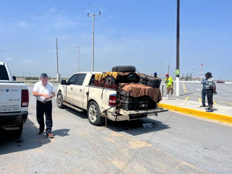 Frenarán pesca ilegal en México con nuevo sistema nacional de trazabilidad que verifica procedencia