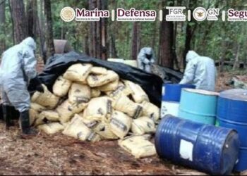 Marinos decomisan 42 toneladas de metanfetaminas en Michoacán