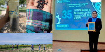 Elabora estudiante de la UAT bioherbicida para cultivos de frijol