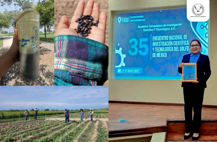 Elabora estudiante de la UAT bioherbicida para cultivos de frijol