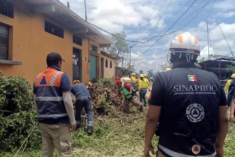 Ciclón ‘Erick’ deja más de 26 mil viviendas dañadas en Oaxaca y Guerrero