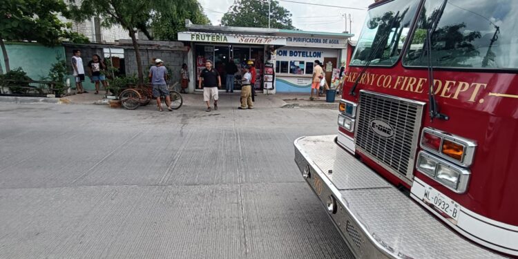 Rescatan a gato montés en la Colona Azteca II de Cd. Victoria