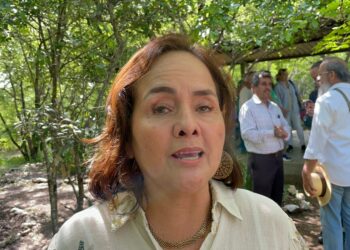 Quiere Diputada que padres de familia vigilen escuelas en vacaciones ante ola de robos