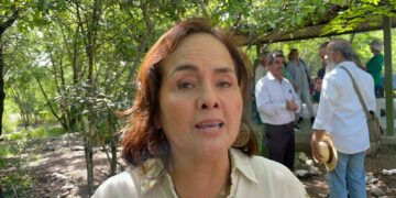 Quiere Diputada que padres de familia vigilen escuelas en vacaciones ante ola de robos