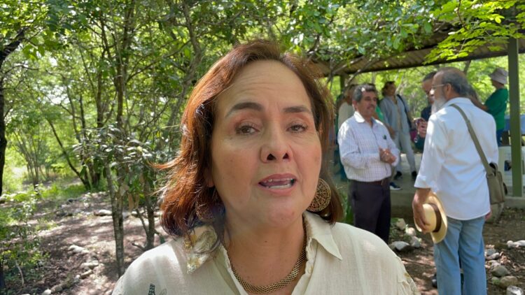 Quiere Diputada que padres de familia vigilen escuelas en vacaciones ante ola de robos