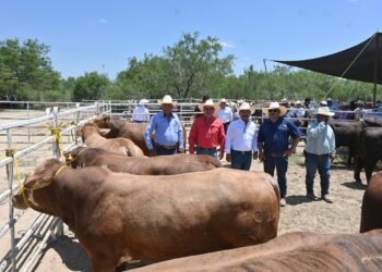 Llevan Programa de Mejoramiento Genético a la región ganadera de Méndez, Tamaulipas