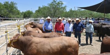 Llevan Programa de Mejoramiento Genético a la región ganadera de Méndez, Tamaulipas