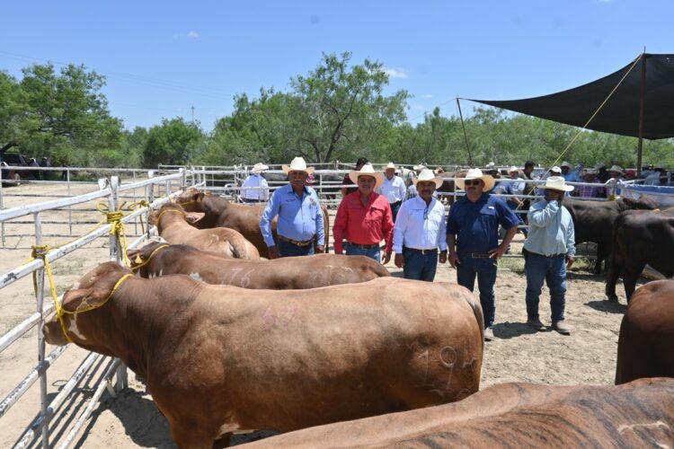 Llevan Programa de Mejoramiento Genético a la región ganadera de Méndez, Tamaulipas