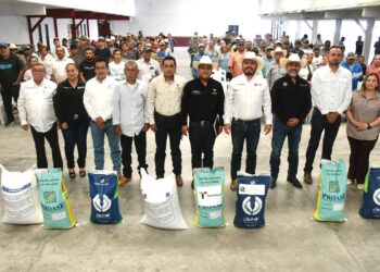 Precio se hunde y sigue SADER dando semilla de sorgo a productores en Tamaulipas